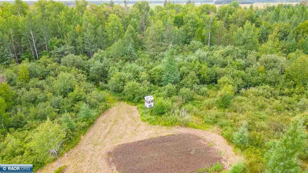 9079 Arkola Road Cotton, MN 55724 - Photo 8 of 22 Gallery Image 8