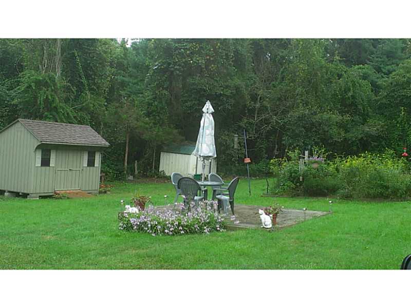 Yard/Garden.
