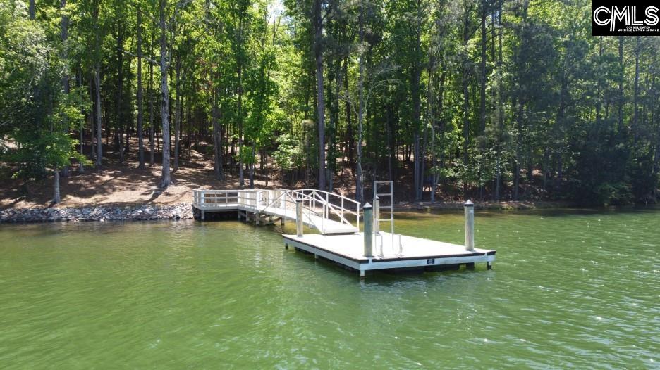 201 State Rd S-20-99 Blair, SC 29015 - Photo 38 of 61