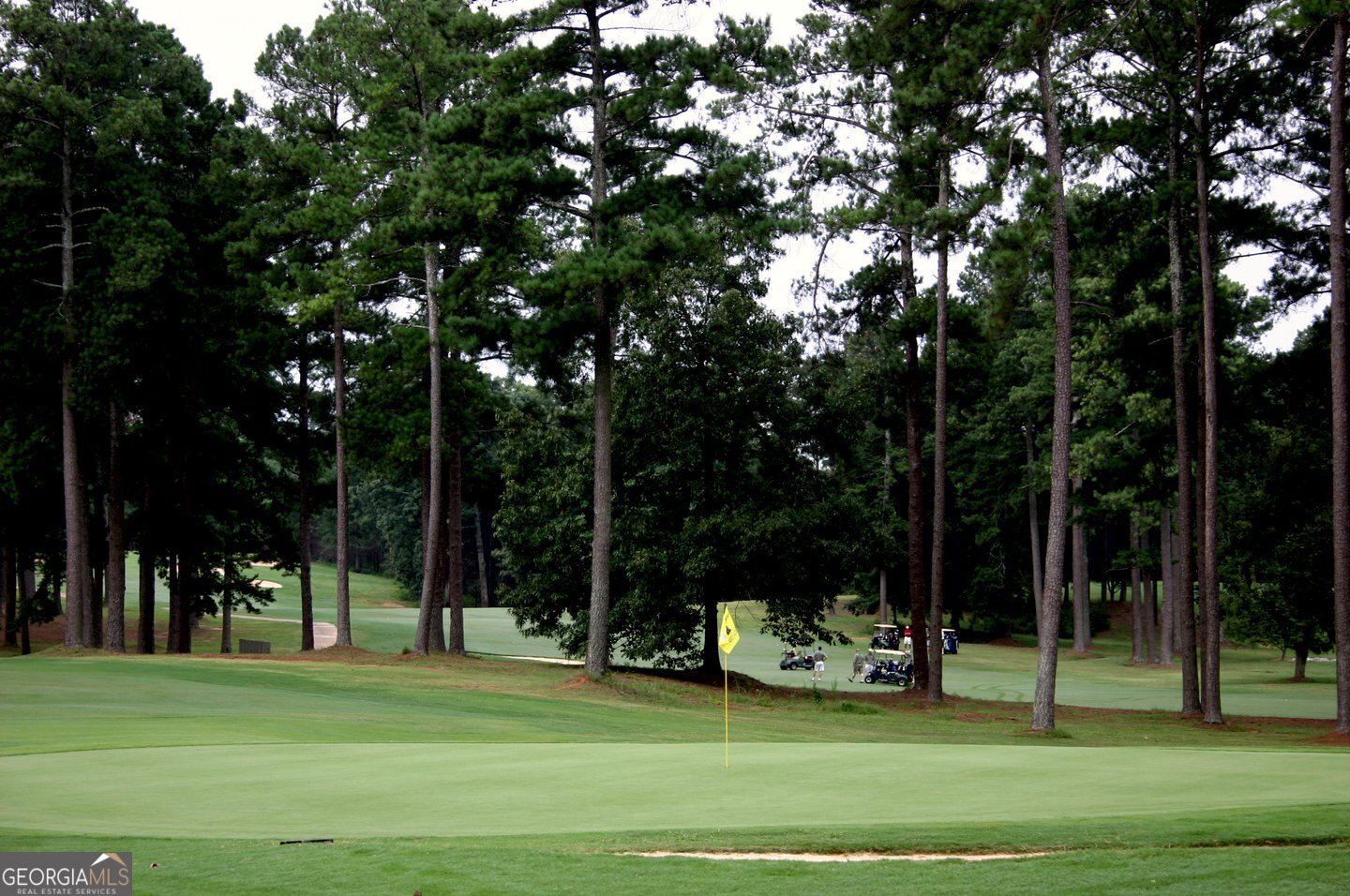 170 Fairplay Street Rutledge, GA 30663 - Photo 42 of 45 At Hard Labor Creek State Park