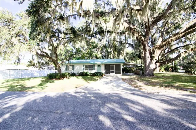 a view of a yard with plants and trees