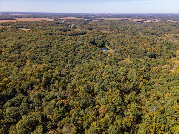 $980,000 | 27232 Z Highway, Canton, MO 63435