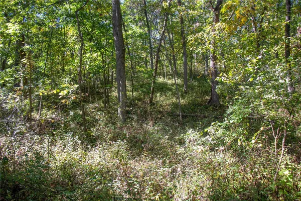 $980,000 | 27232 Z Highway, Canton, MO 63435