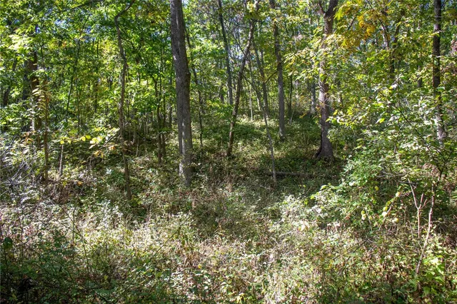 $980,000 | 27232 Z Highway, Canton, MO 63435