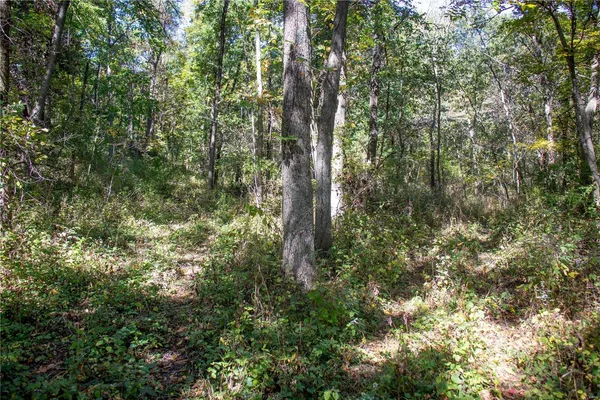 $980,000 | 27232 Z Highway, Canton, MO 63435