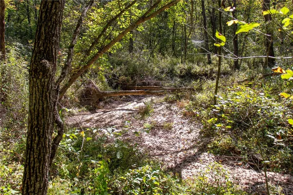 $980,000 | 27232 Z Highway, Canton, MO 63435