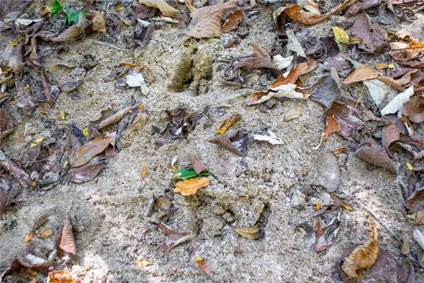 $980,000 | 27232 Z Highway, Canton, MO 63435