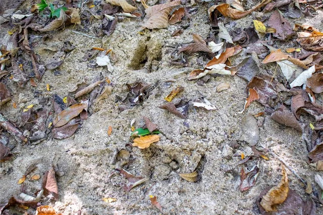 $980,000 | 27232 Z Highway, Canton, MO 63435