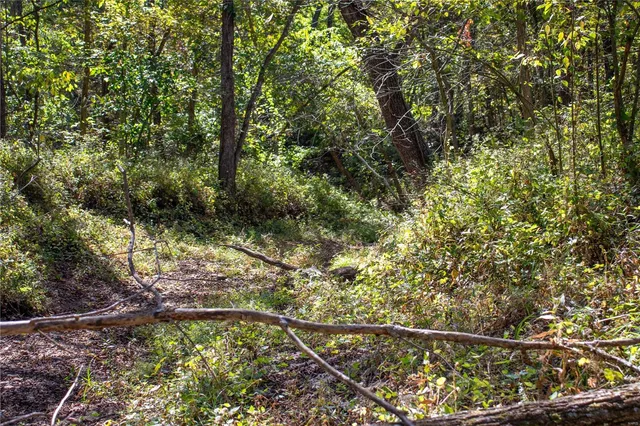 $980,000 | 27232 Z Highway, Canton, MO 63435