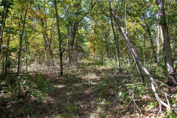 $980,000 | 27232 Z Highway, Canton, MO 63435