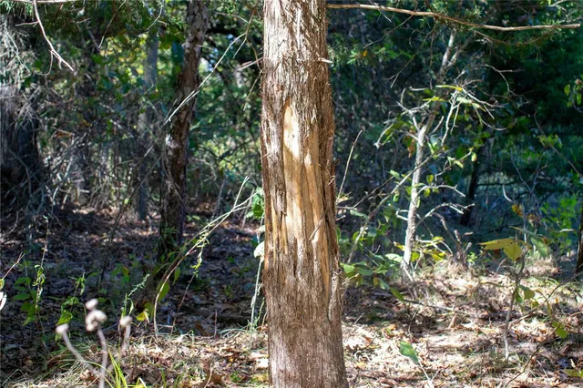 $980,000 | 27232 Z Highway, Canton, MO 63435