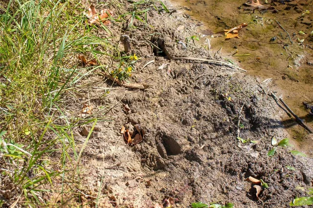 $980,000 | 27232 Z Highway, Canton, MO 63435