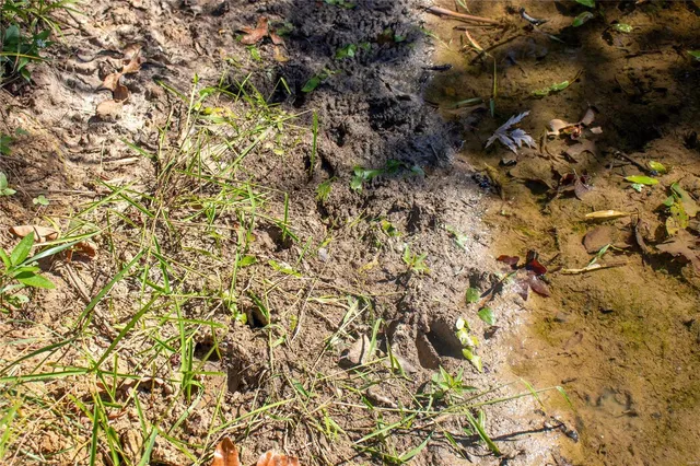 $980,000 | 27232 Z Highway, Canton, MO 63435