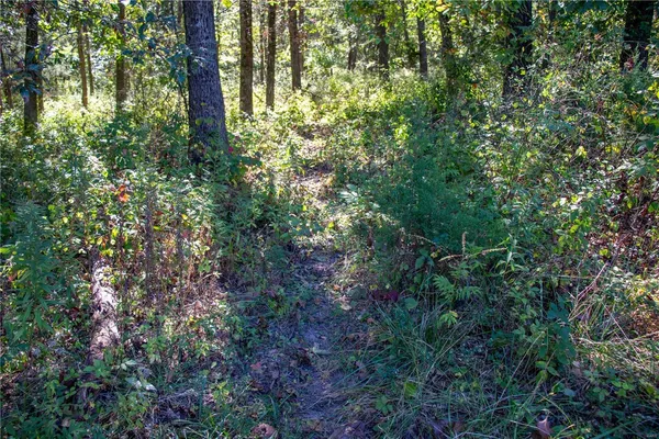 $980,000 | 27232 Z Highway, Canton, MO 63435