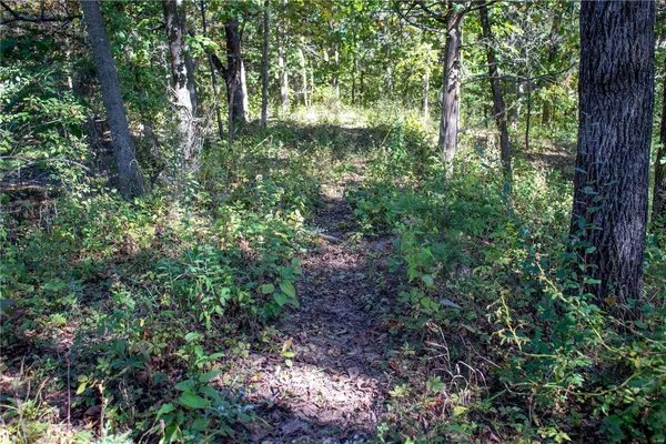 $980,000 | 27232 Z Highway, Canton, MO 63435