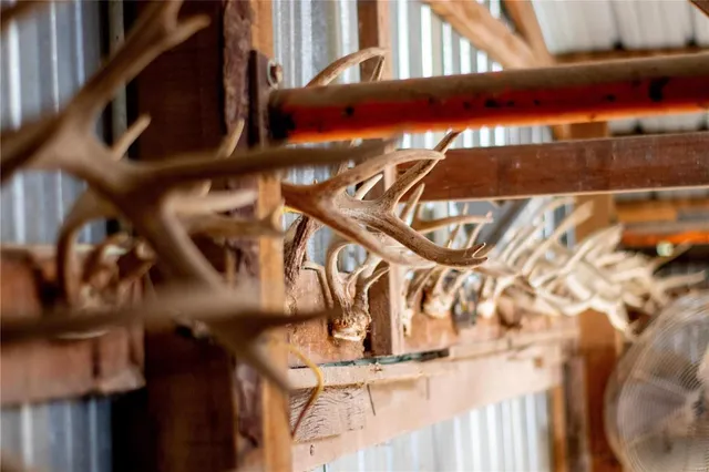 $980,000 | 27232 Z Highway, Canton, MO 63435