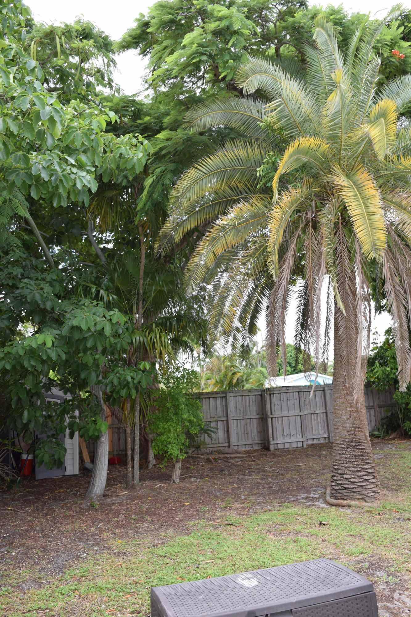 401 Northeast 36th Street Boca Raton, FL 33431 - Photo 8 of 18 SIDE YARD