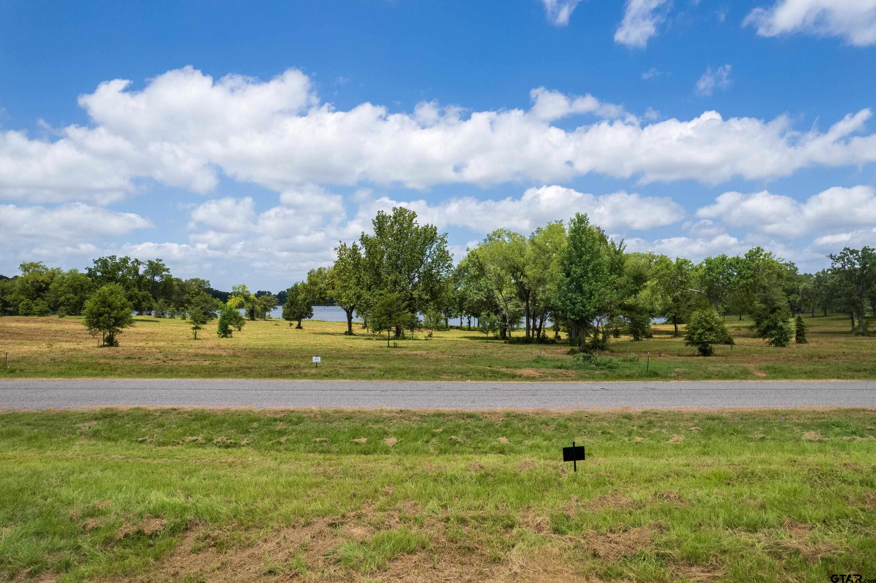 Tbd Lot 8 Tbd Way Mount Pleasant, TX 75455 - Photo 12 of 13 a view of a golf course with a lake