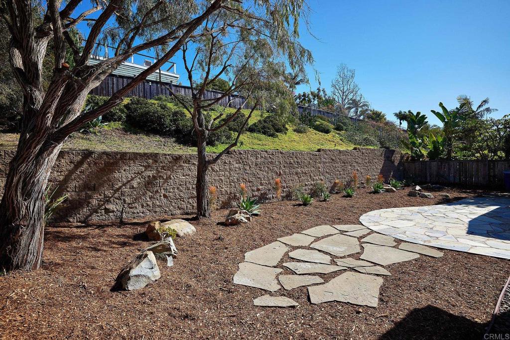 293 Star Jasmine Lane Encinitas, CA 92024 - Photo 22 of 37 a view of a backyard