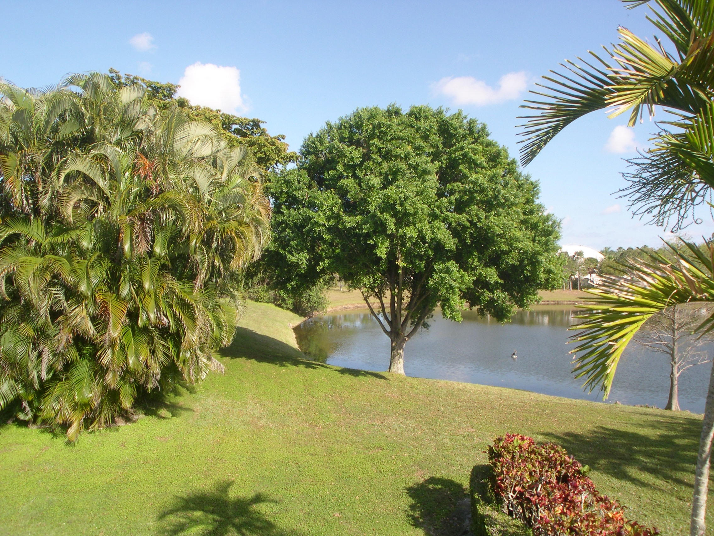 23113 Via Stel Boca Raton, FL 33433 - Photo 13 of 23 Another angle.