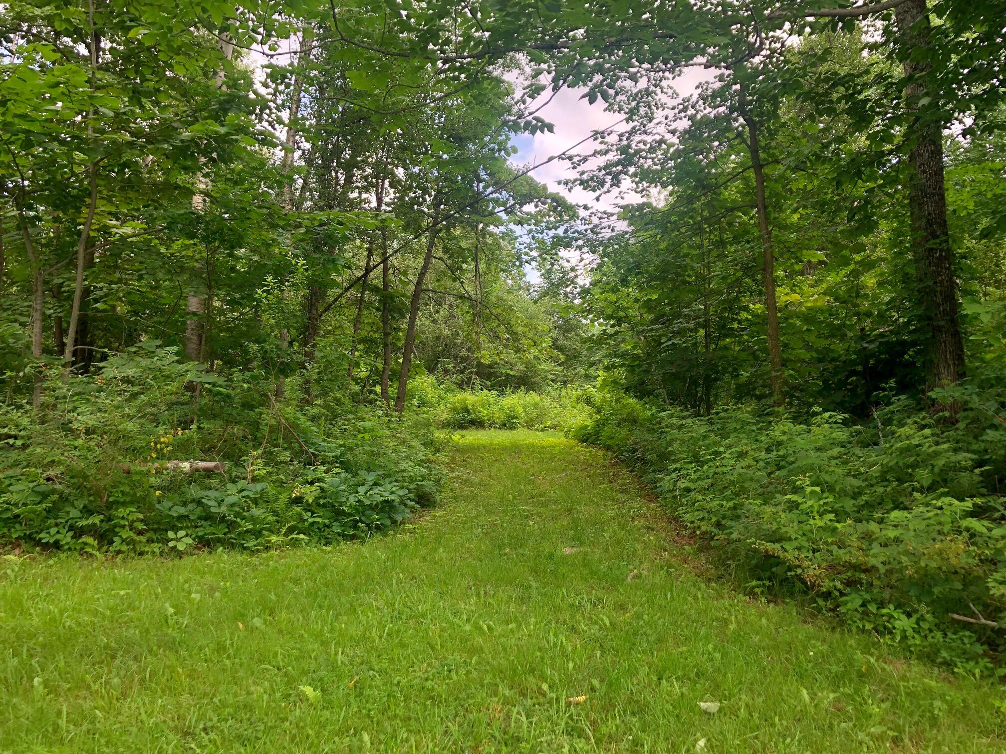 241 Simpson Corner Road Dixmont, ME 04932 - Photo 11 of 30 IMG_1145