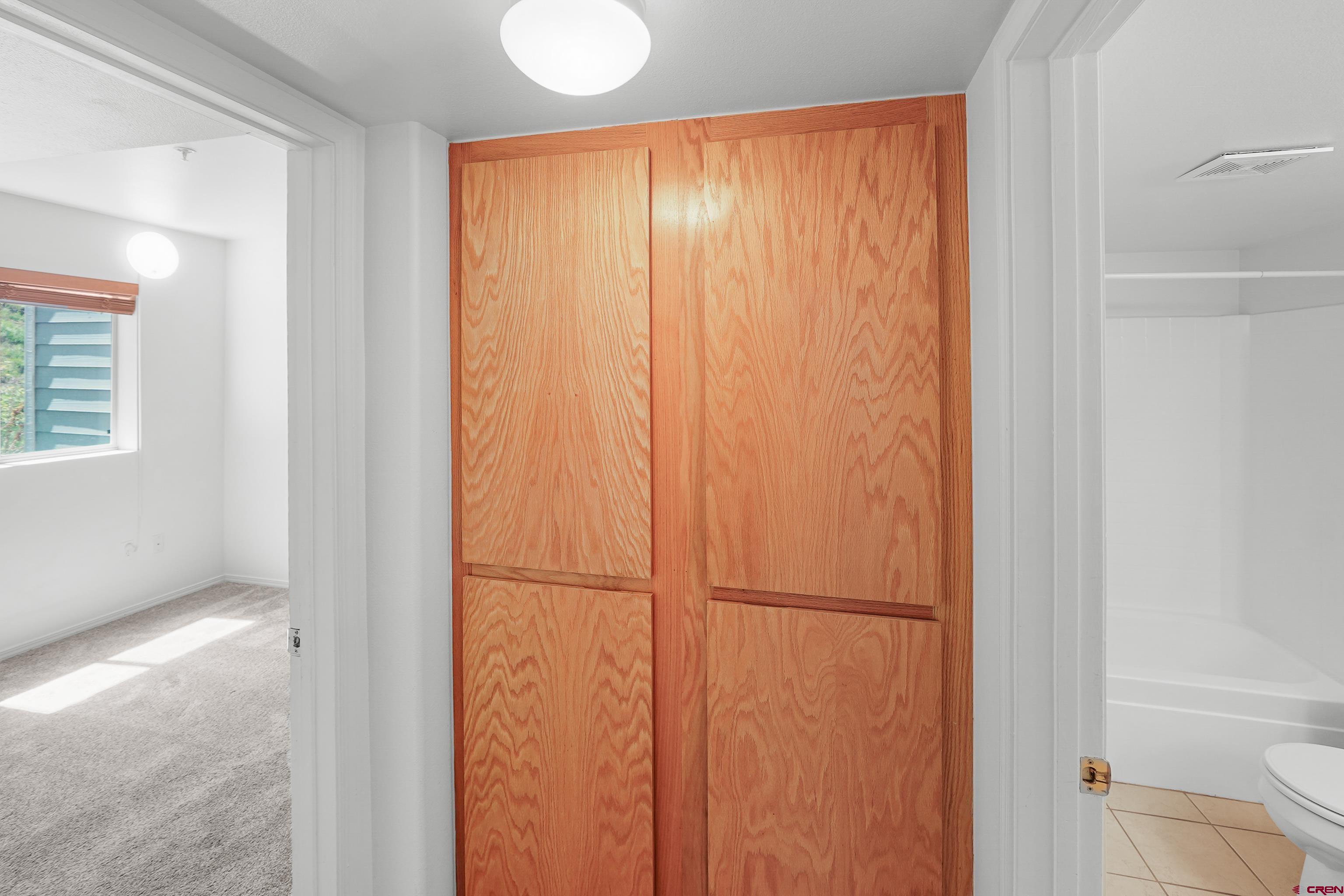 1100 Goeglein Gulch Road, Unit 163 Durango, CO 81301 - Photo 14 of 23 a view of walk in closet