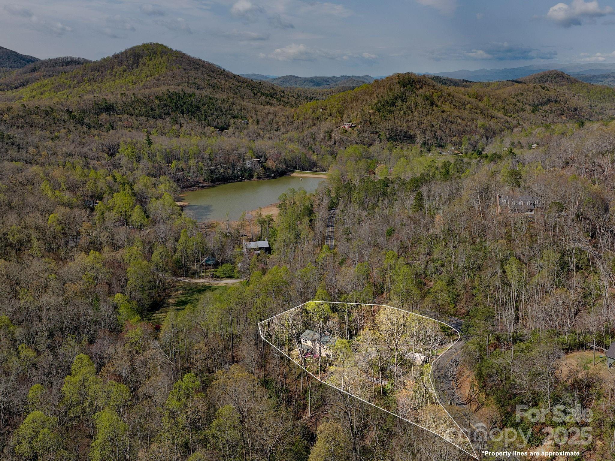 1469 Old Fort Road Fairview, NC 28730 - Photo 3 of 26 Gallery Image 3