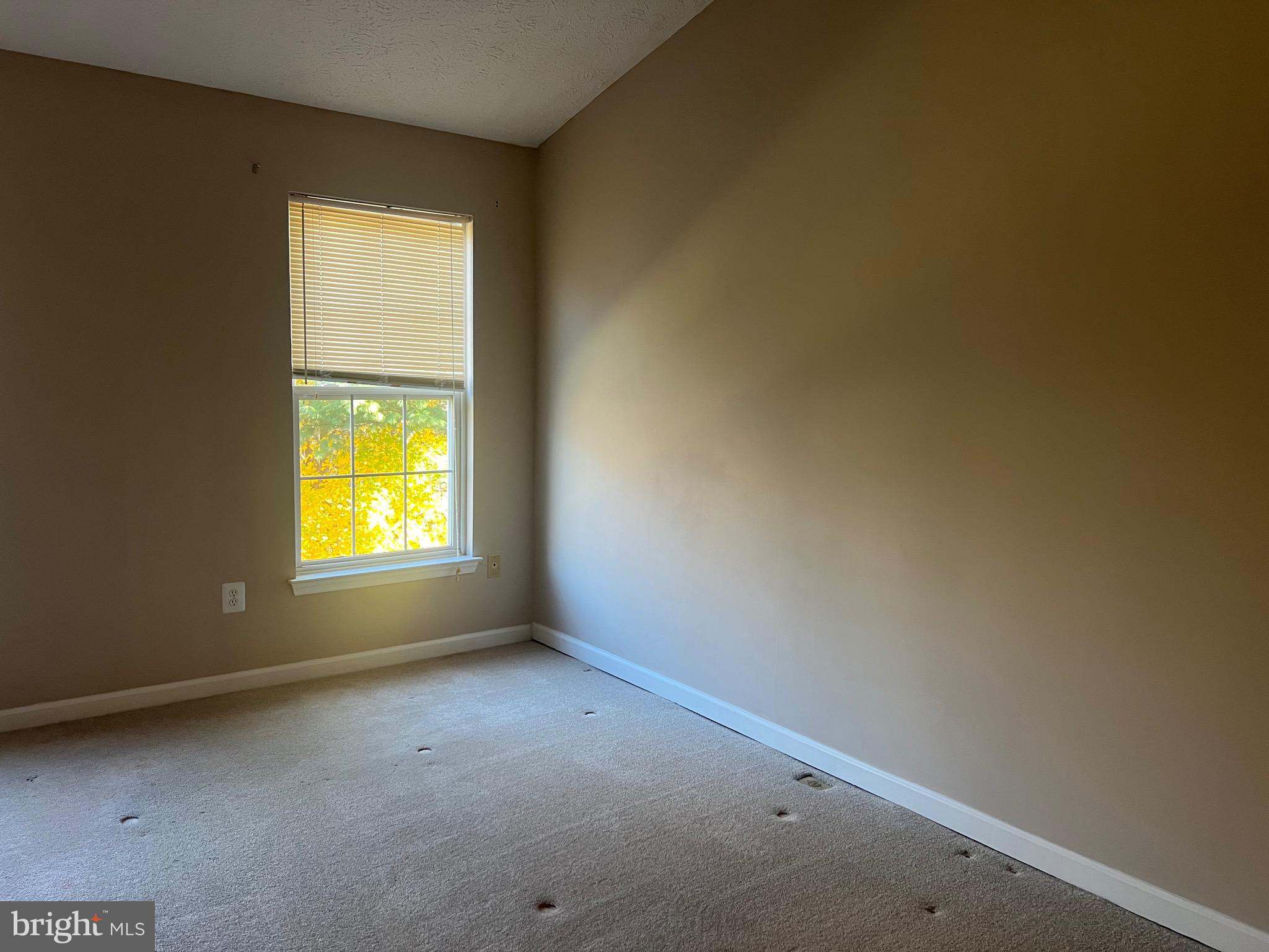 9526 Bellhaven Court Frederick, MD 21701 - Photo 22 of 23 an empty room with a window