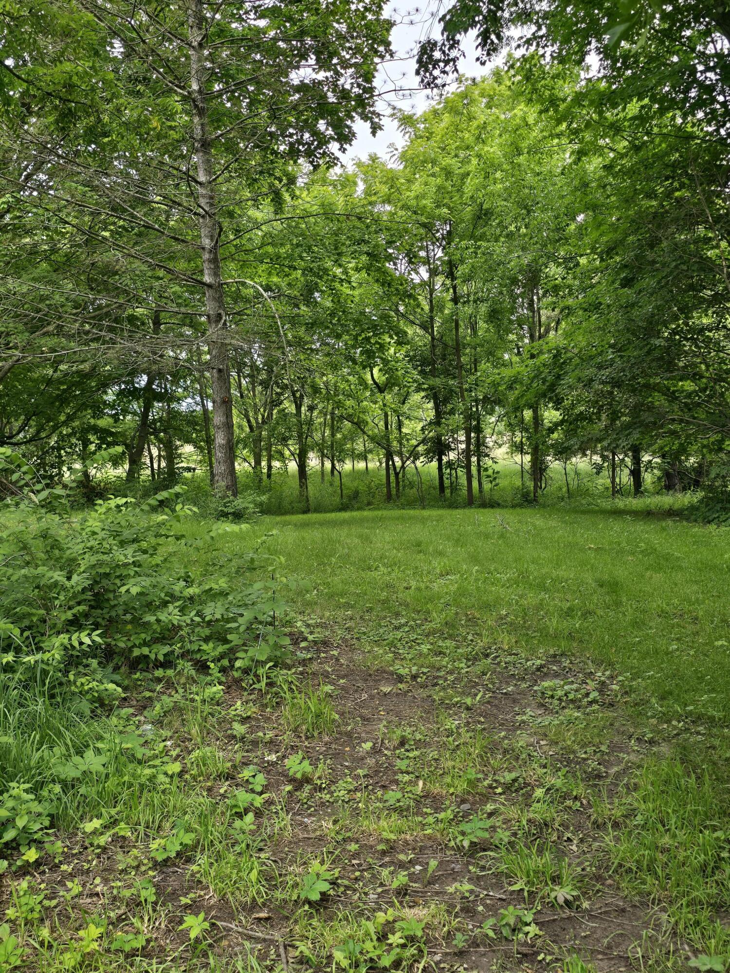 8733 South Cochran Road Charlotte, MI 48813 - Photo 6 of 30 20260624_130402