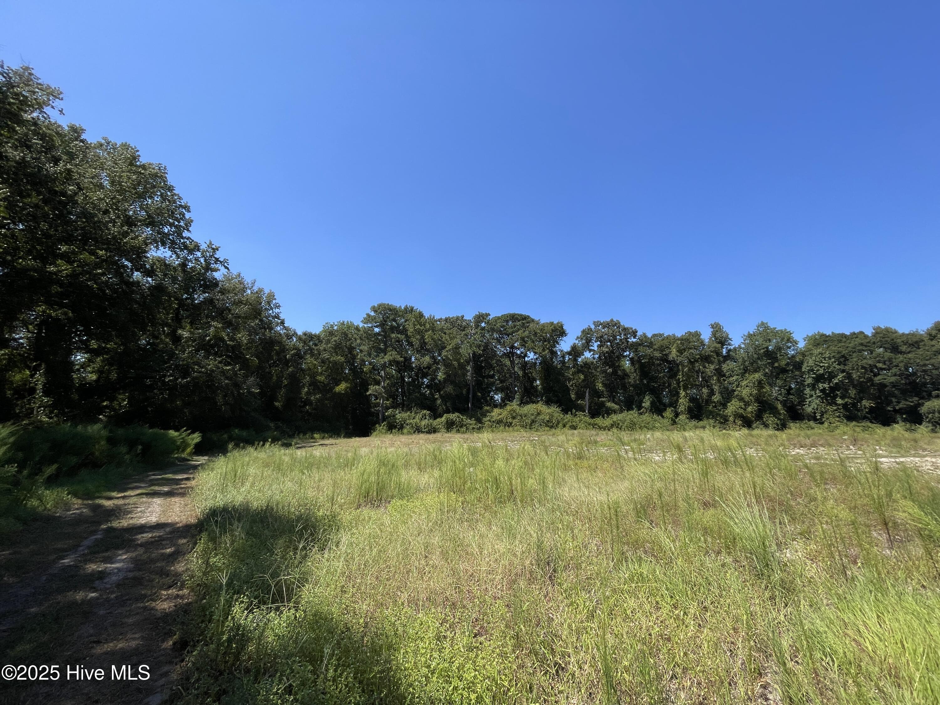 0 Sandy Lane Clinton, NC 28328 - Photo 5 of 6 IMG_3109