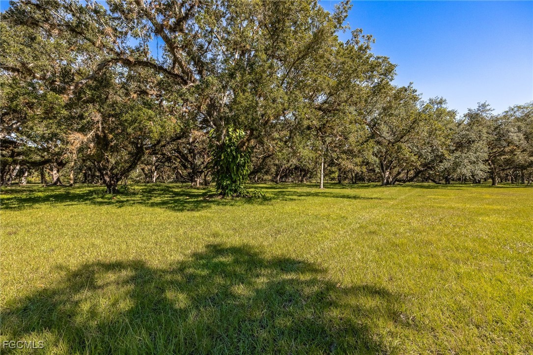 1400 Catamount Road LaBelle, FL 33935 - Photo 36 of 50 a view of outdoor space with yard