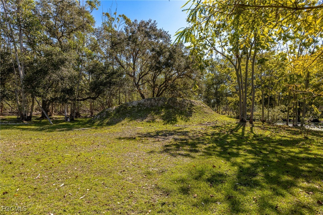 1400 Catamount Road LaBelle, FL 33935 - Photo 41 of 50 a view of yard