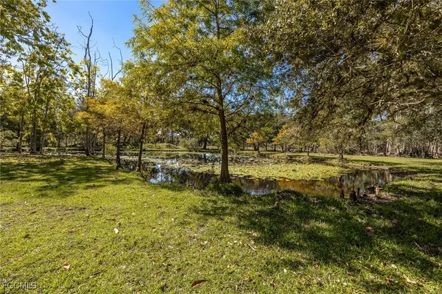 a view of a yard in front of the house
