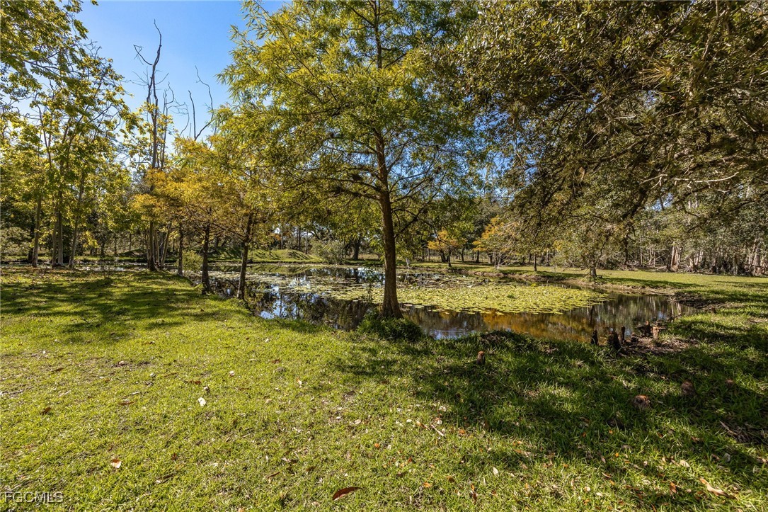 1400 Catamount Road LaBelle, FL 33935 - Photo 42 of 50 a view of yard with green space