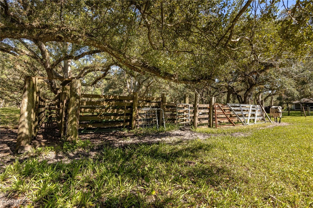 1400 Catamount Road LaBelle, FL 33935 - Photo 45 of 50 a view of a field with trees