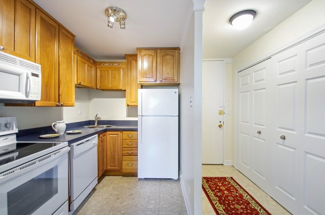 720 West Gordon Terrace, Unit 5H Chicago, IL 60613 - Photo 3 of 16