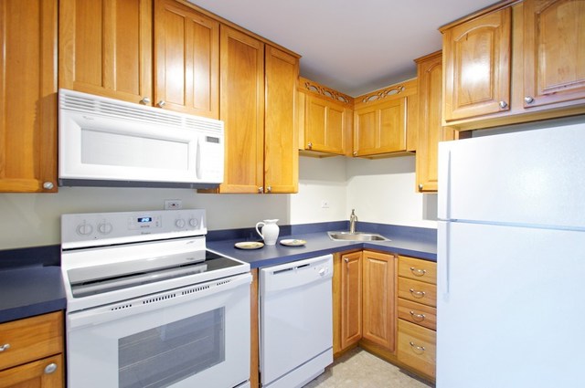 720 West Gordon Terrace, Unit 5H Chicago, IL 60613 - Photo 4 of 16