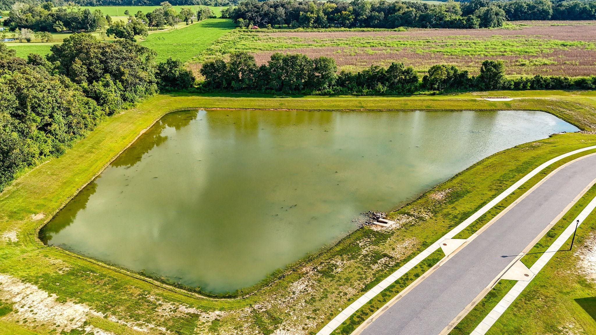 24264 Veranda Circle Elberta, AL 36530 - Photo 11 of 41 Aerial View