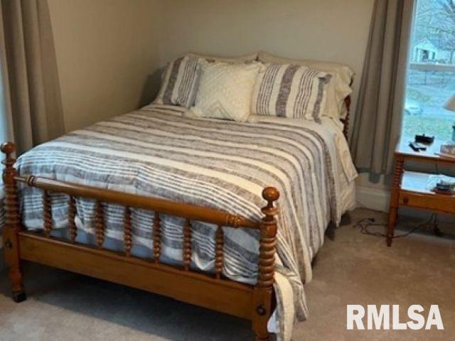 1520 Body Barn Road Anna, IL 62906 - Photo 25 of 31