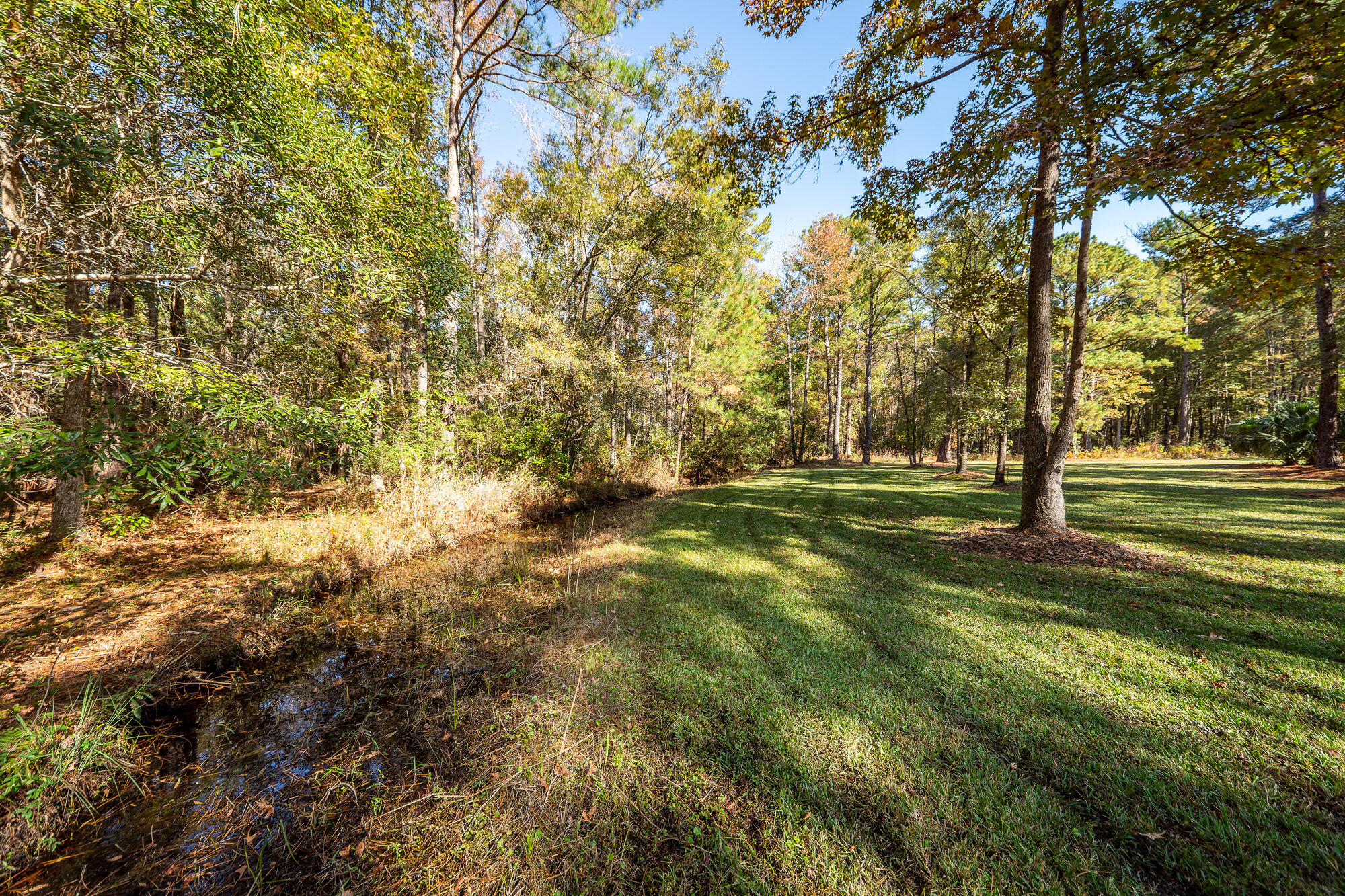 5950 Lowell Reed Road Ravenel, SC 29470 - Photo 110 of 120 111