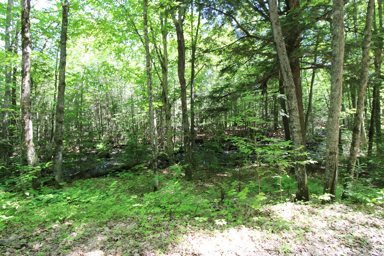Lot B Lot B Nagles Road Hurley, WI 54534 - Photo 22 of 32 Gallery Image 22