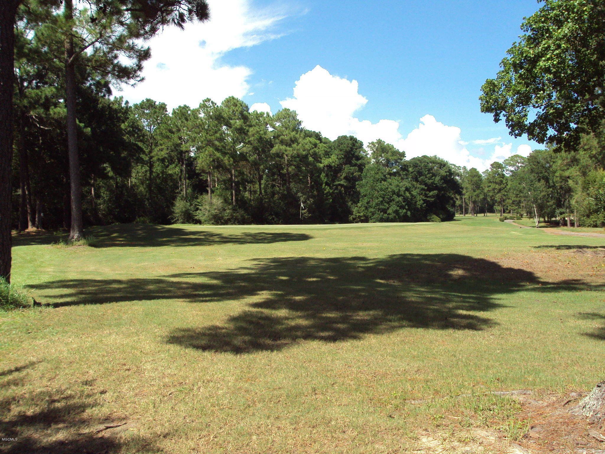 Lot 19 Martin Bluff Road Gautier, MS 39553 - Photo 1 of 7 DSC01500