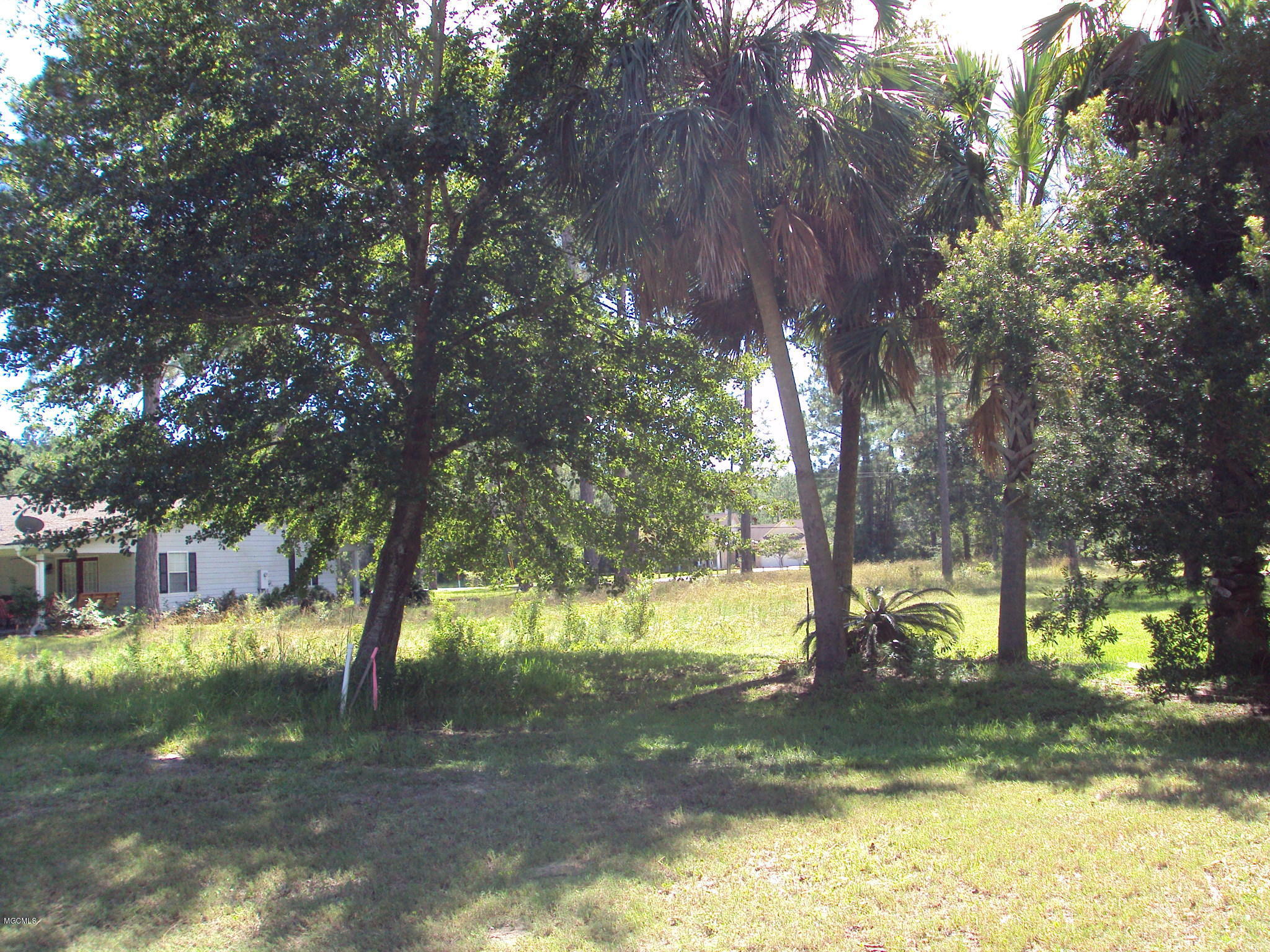 Lot 19 Martin Bluff Road Gautier, MS 39553 - Photo 3 of 7 DSC01502