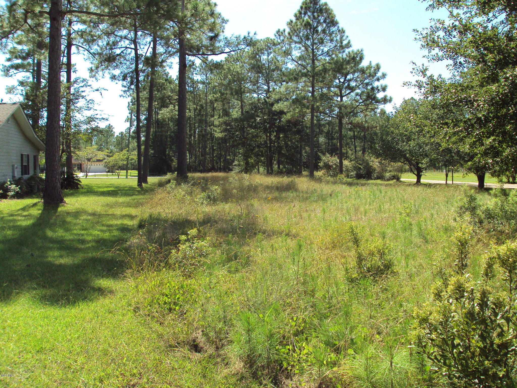 Lot 19 Martin Bluff Road Gautier, MS 39553 - Photo 4 of 7 DSC01503