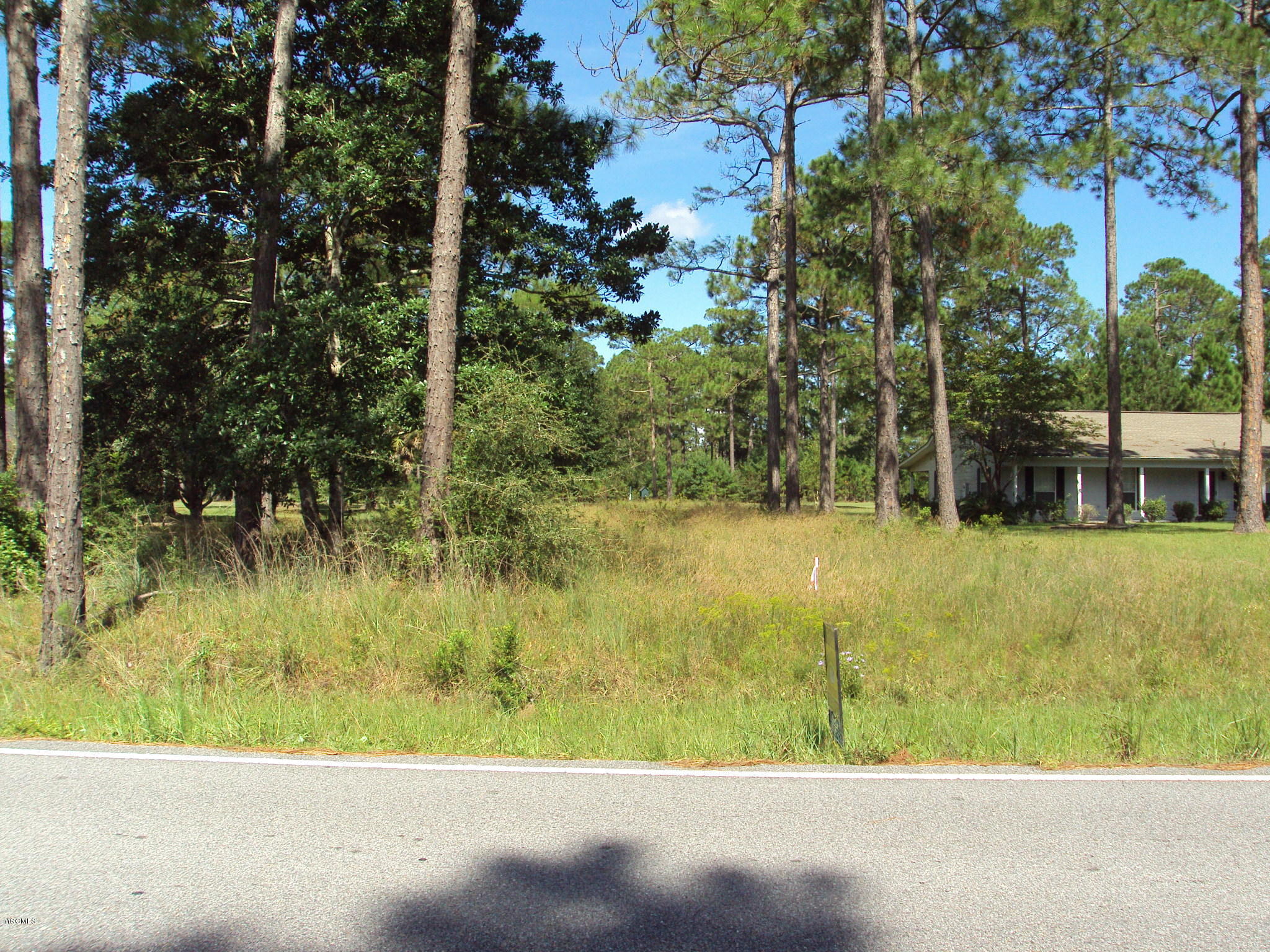 Lot 19 Martin Bluff Road Gautier, MS 39553 - Photo 6 of 7 DSC01505