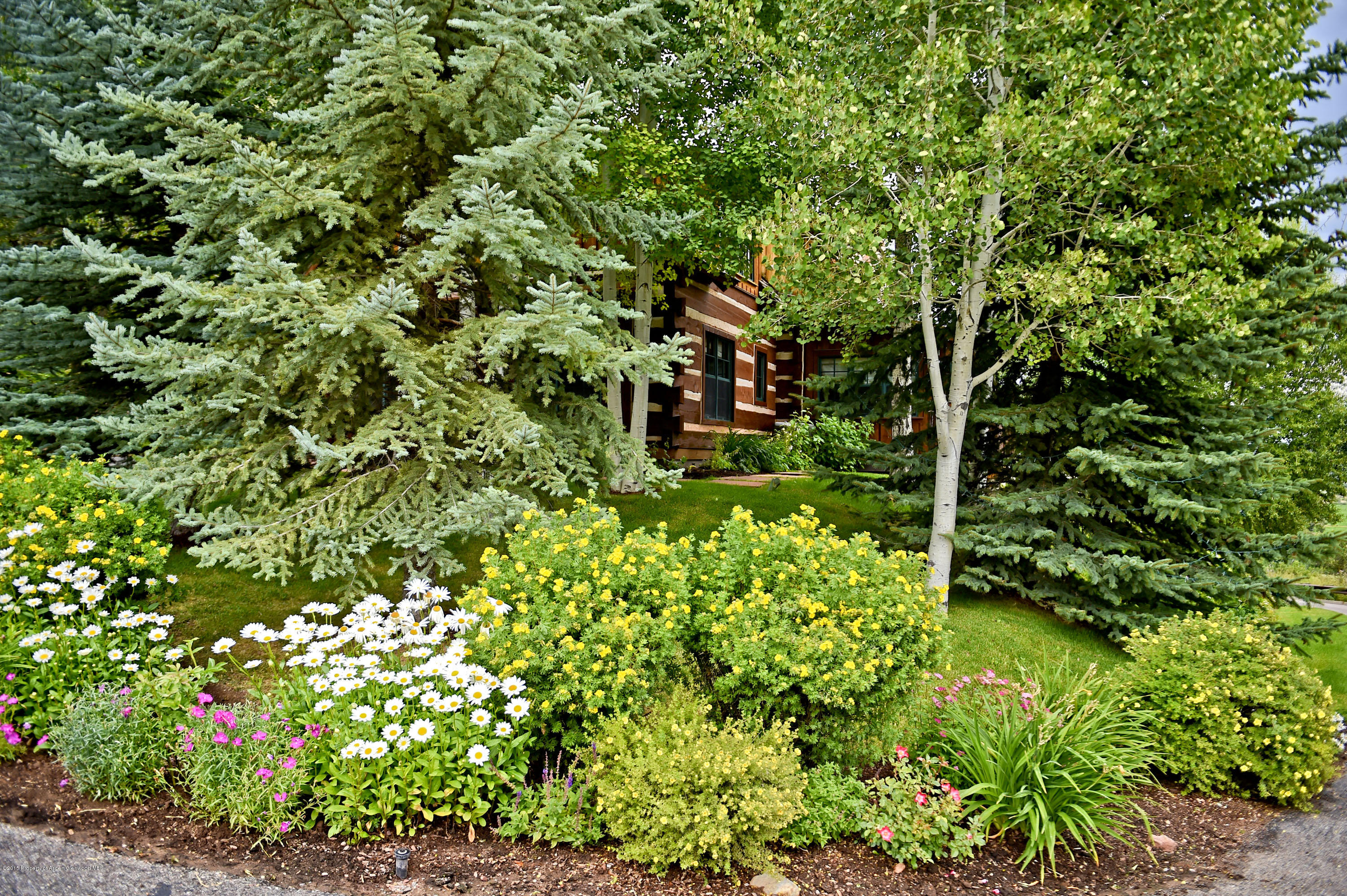45 Altamira Ranch Road Basalt, CO 81621 - Photo 17 of 29 a backyard of a house with lots of green space