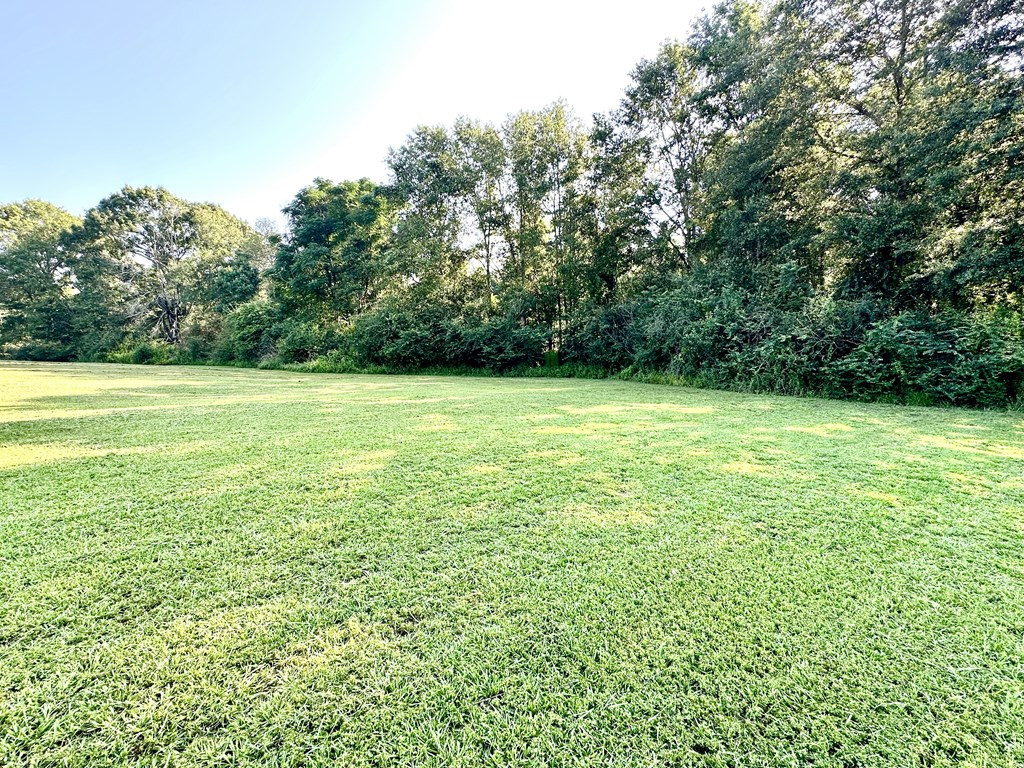 1015 Walker Lane Summit, MS 39666 - Photo 33 of 41 Backyard