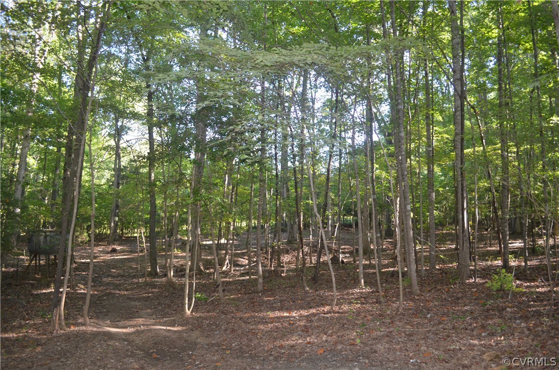 2780 Dorset Ridge Road Powhatan, VA 23139 - Photo 16 of 22 Gallery Image 16