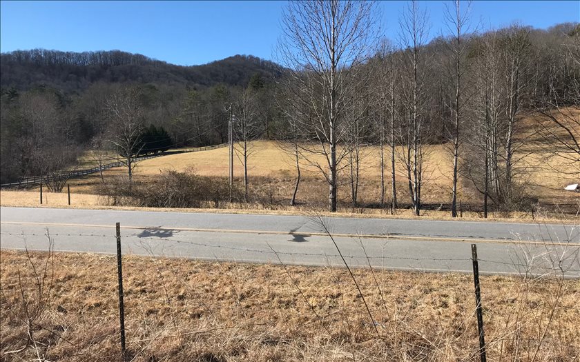 1915 Cashes Valley Road Cherry Log, GA 30522 - Photo 1 of 1 a view of a yard
