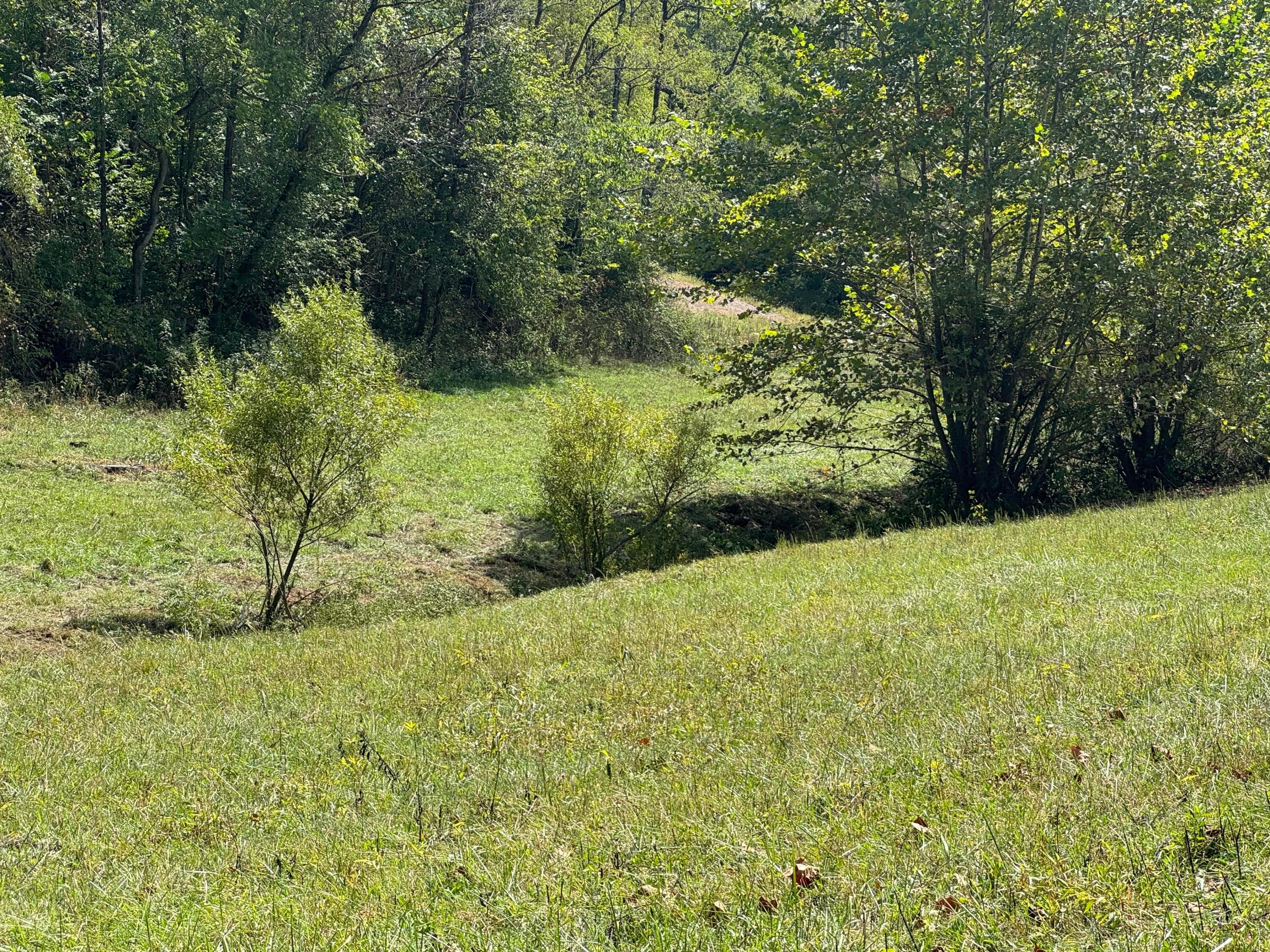 0 McGrath Road, Unit MCGRATH TRACT 5) Athens, OH 45701 - Photo 47 of 71 20240912_173933260_iOS